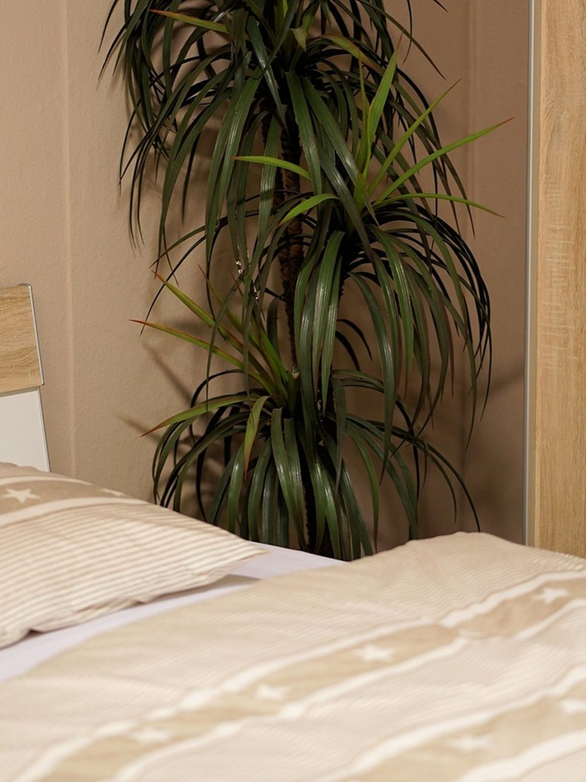 Camera con armadio e letto in legno chiaro